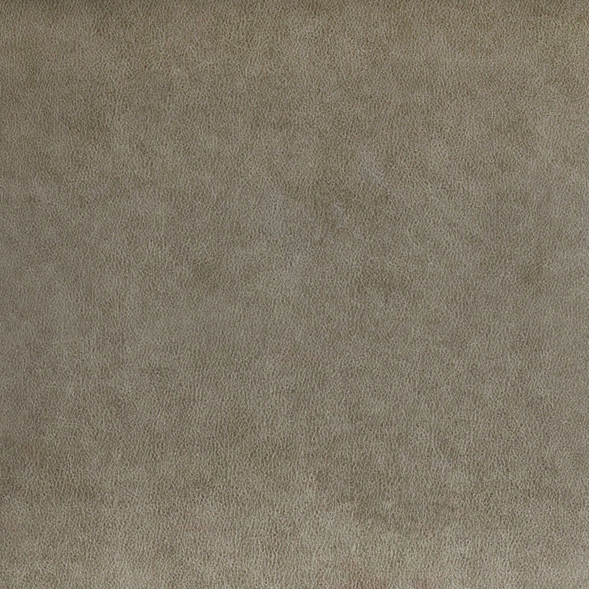 EngageInCorralGrey_Swatch