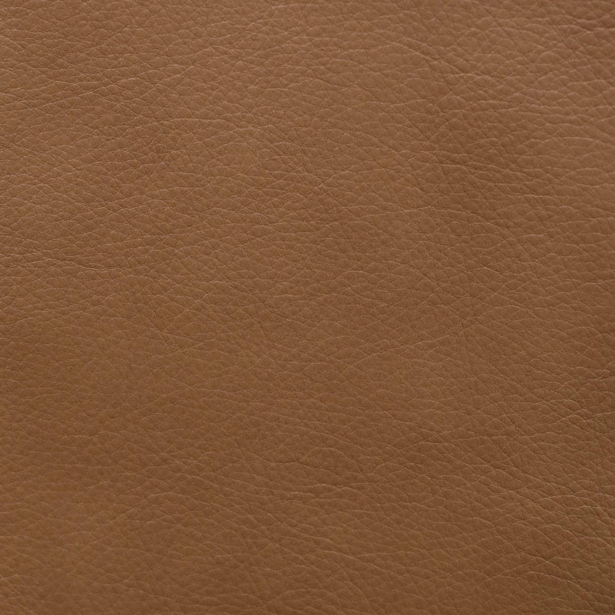 MustangLivingRoominAlineButternut_Swatch